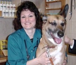 Dr. Donna Mignemi, Veterinarian, Spring Hill Florida